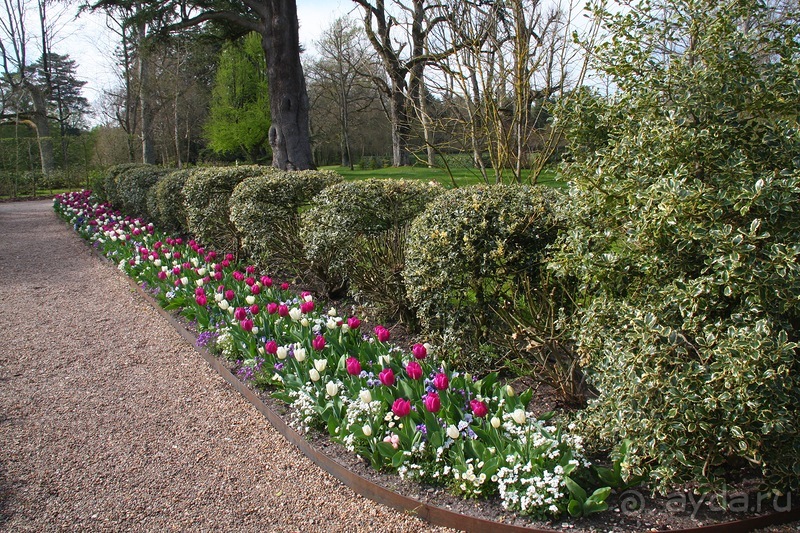 Замки долины Луары и не только. Часть 2
