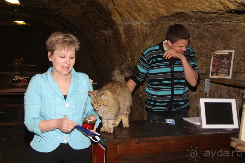Замки долины Луары и не только. Часть 2