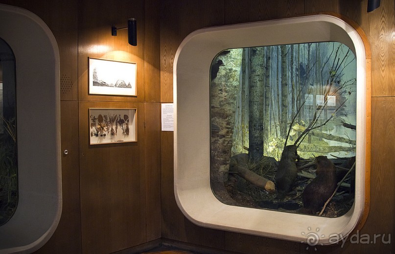 ВЫБОРГ, ДЕНЬ ВТОРОЙ