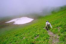 Клумбочка ( и про Борю)