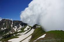 Клумбочка ( и про Борю)