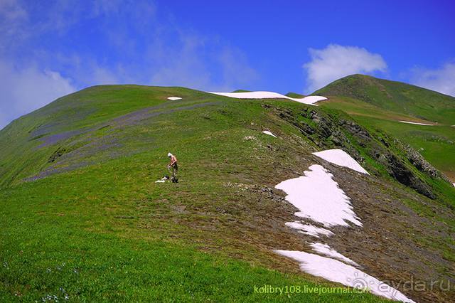 Клумбочка ( и про Борю)