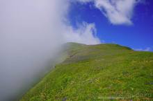 Клумбочка ( и про Борю)