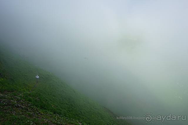 Клумбочка ( и про Борю)