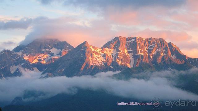 Клумбочка ( и про Борю)