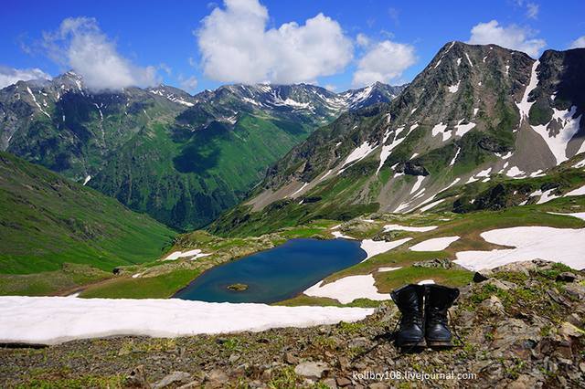 Клумбочка ( и про Борю)