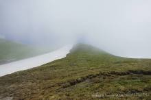 Клумбочка ( и про Борю)