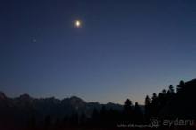 Клумбочка ( и про Борю)