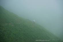 Клумбочка ( и про Борю)