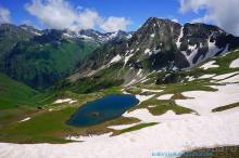 Клумбочка ( и про Борю)