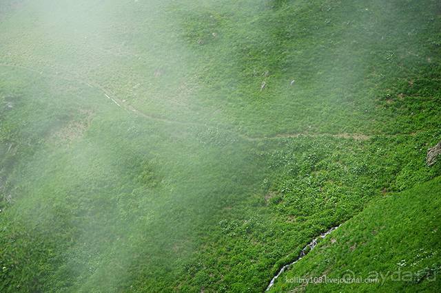 Клумбочка ( и про Борю)