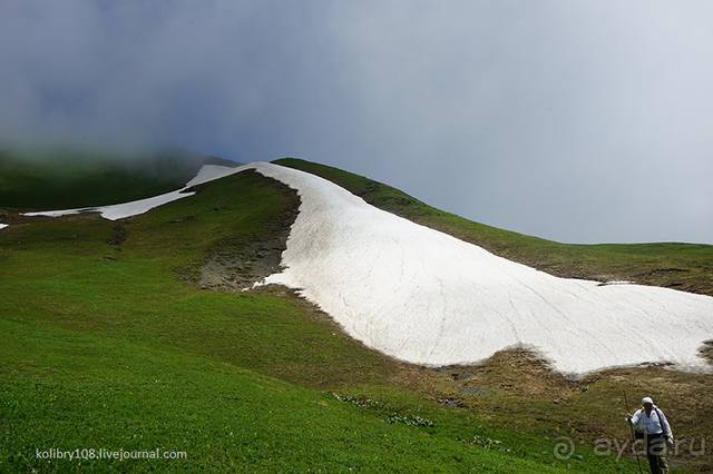Клумбочка ( и про Борю)