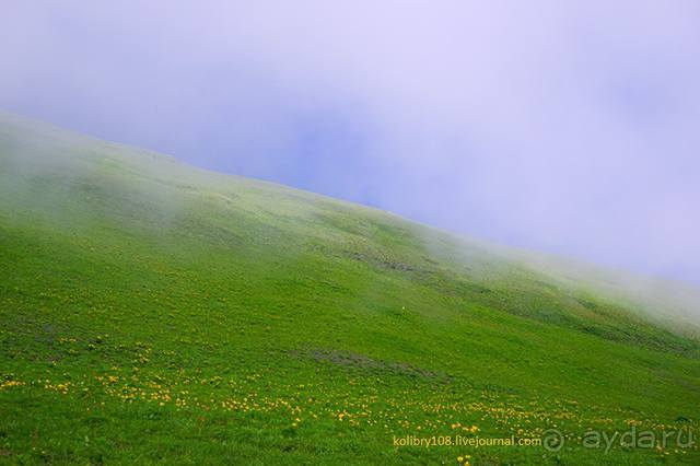 Клумбочка ( и про Борю)