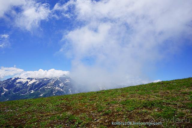 Клумбочка ( и про Борю)