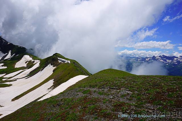 Клумбочка ( и про Борю)