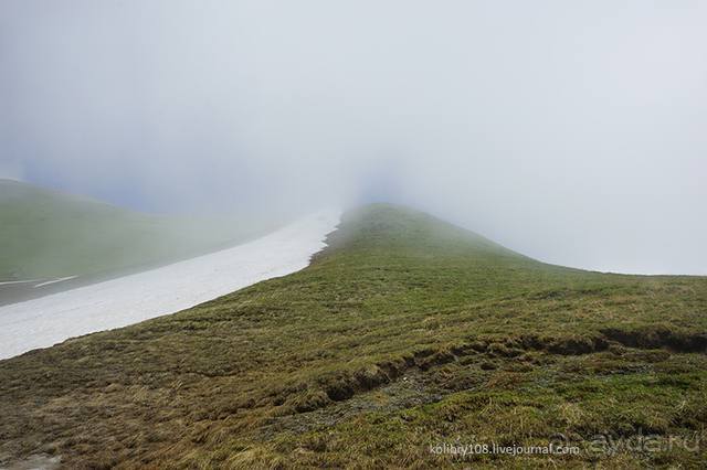 Клумбочка ( и про Борю)
