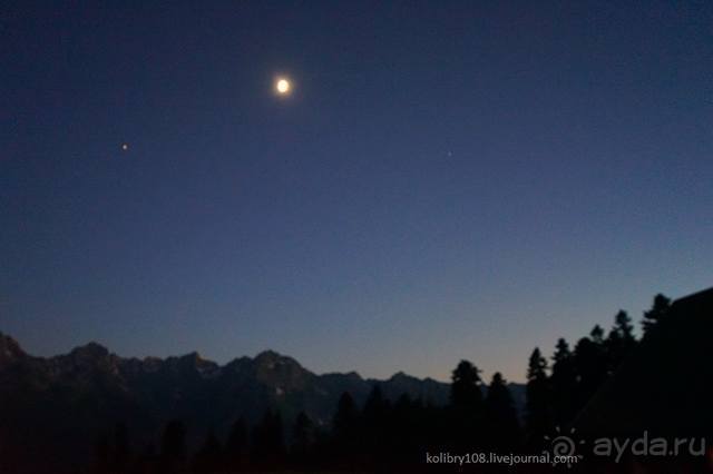 Клумбочка ( и про Борю)