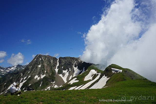 Клумбочка ( и про Борю)