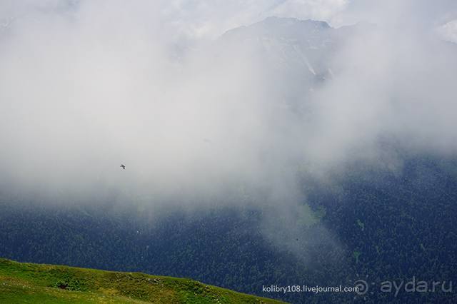 Клумбочка ( и про Борю)