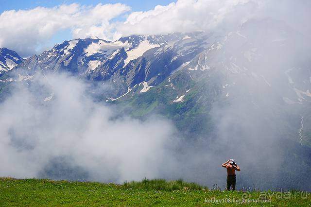 Клумбочка ( и про Борю)