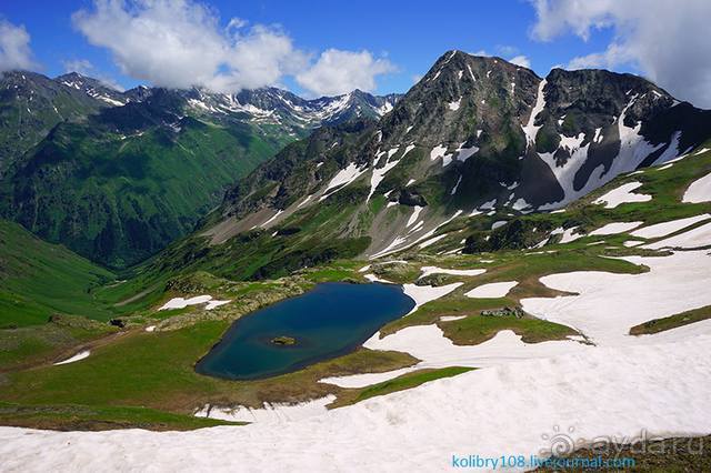 Клумбочка ( и про Борю)