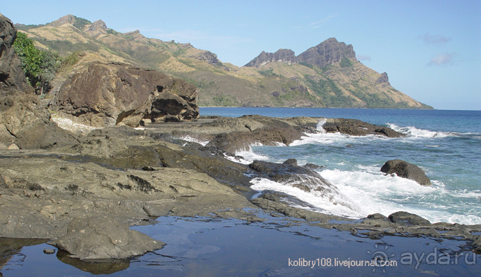 Поспели булки в саду у дяди Вани (остров Вайя, Фиджи)
