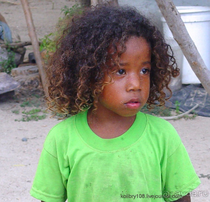 Поспели булки в саду у дяди Вани (остров Вайя, Фиджи)