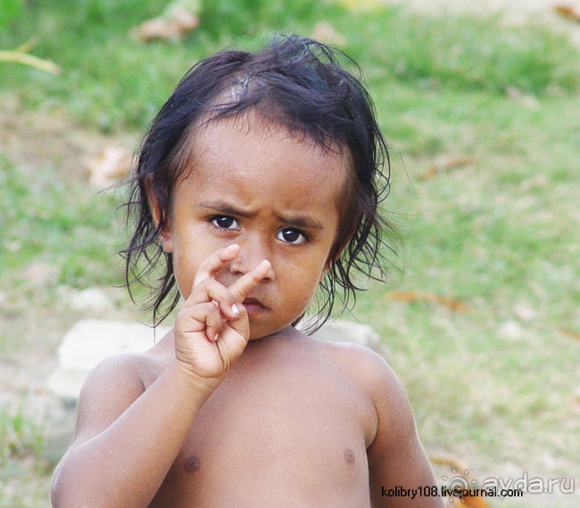 Поспели булки в саду у дяди Вани (остров Вайя, Фиджи)