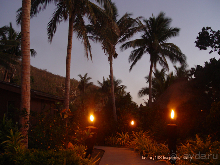 Поспели булки в саду у дяди Вани (остров Вайя, Фиджи)