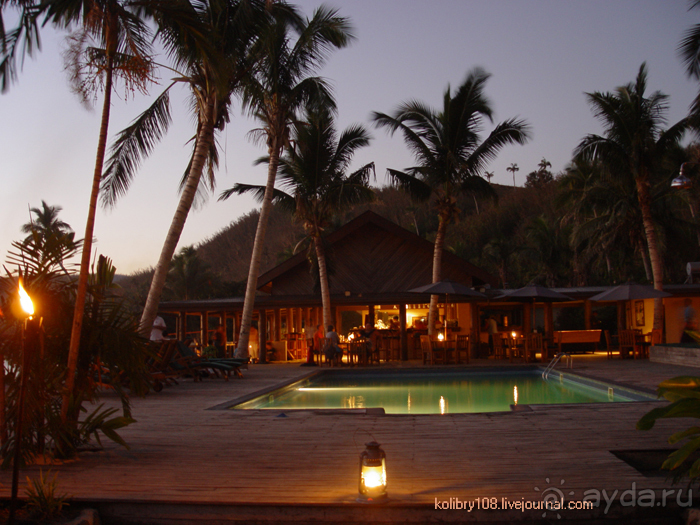 Поспели булки в саду у дяди Вани (остров Вайя, Фиджи)
