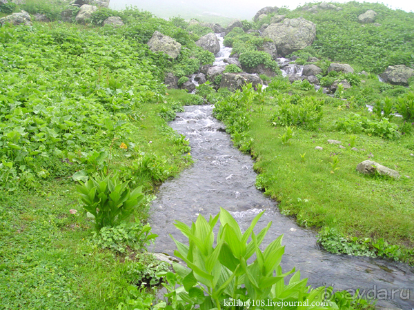 Авадхара, озеро Мзы (Абхазия) - окончание.