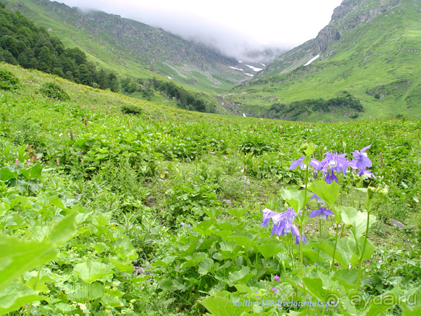 Авадхара, озеро Мзы (Абхазия) - окончание.