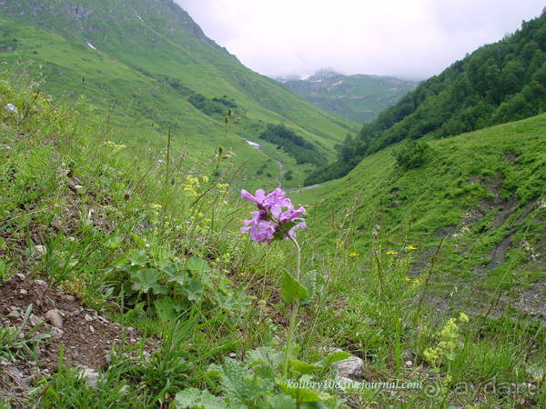 Авадхара, озеро Мзы (Абхазия) - окончание.