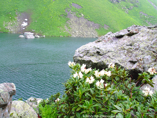 Авадхара, озеро Мзы (Абхазия) - окончание.