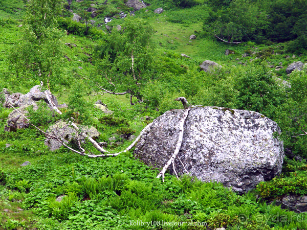 Авадхара, озеро Мзы (Абхазия) - окончание.