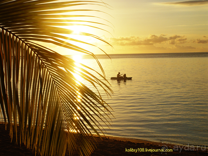 Альбом отзыва "Остро Робинзона Крузо (Фиджи)."