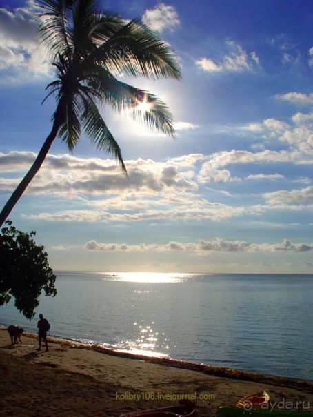 Остро Робинзона Крузо (Фиджи).