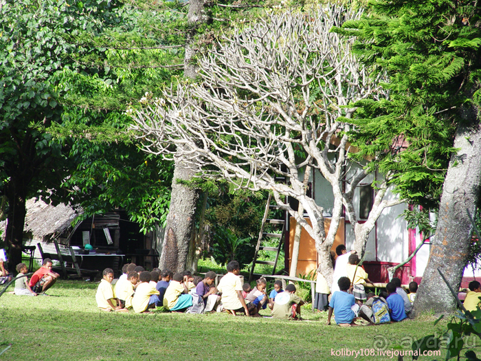 Водопад острова Танна (Вануату).