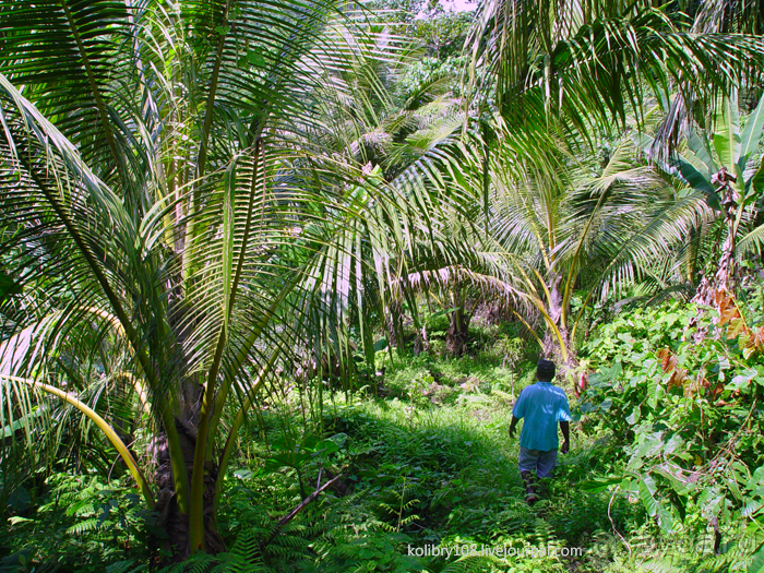 Водопад острова Танна (Вануату).