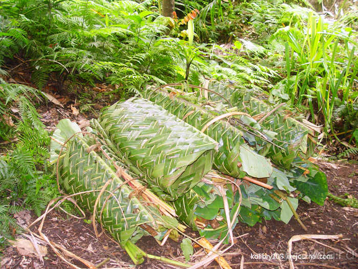 Водопад острова Танна (Вануату).