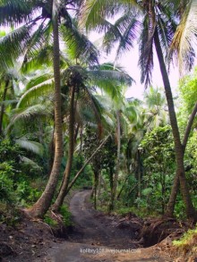 Водопад острова Танна (Вануату).