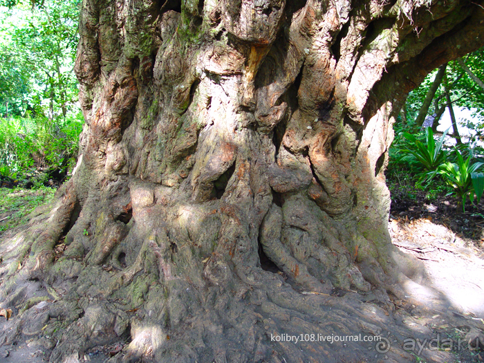 Водопад острова Танна (Вануату).