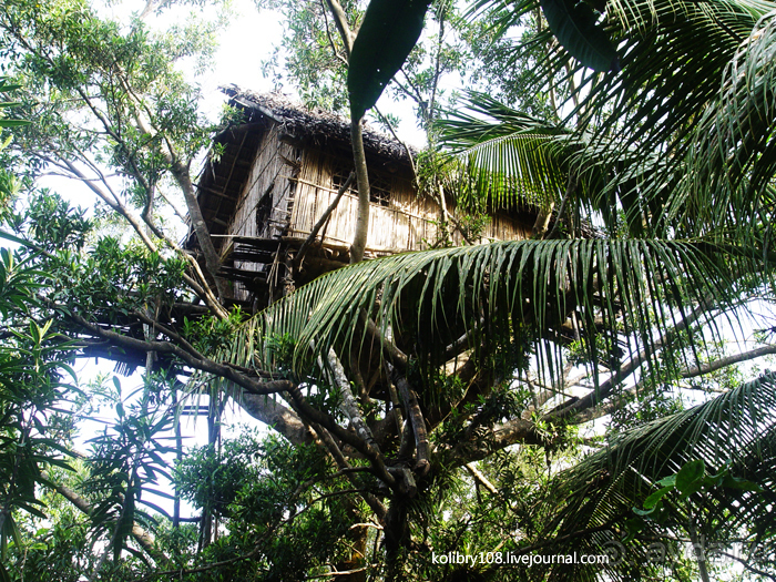 Водопад острова Танна (Вануату).