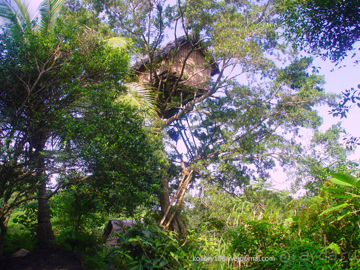 Водопад острова Танна (Вануату).