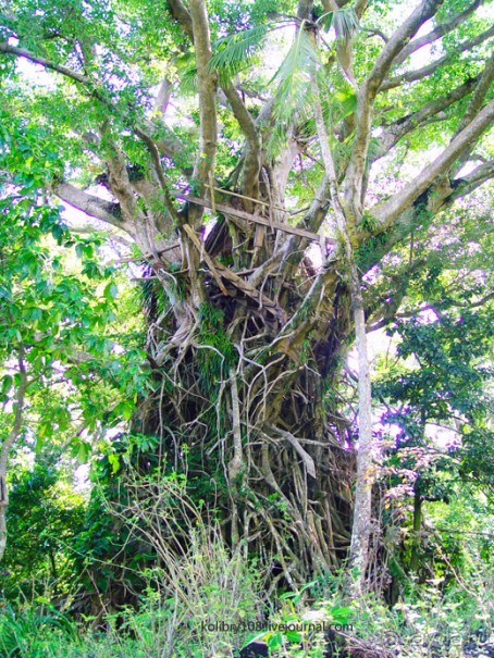 Водопад острова Танна (Вануату).
