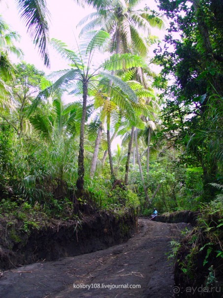 Водопад острова Танна (Вануату).