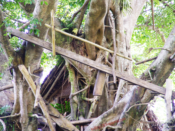 Водопад острова Танна (Вануату).