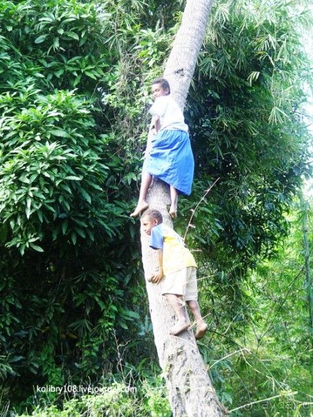 Водопад острова Танна (Вануату).