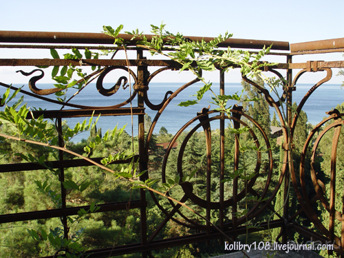 Абхазия-любовь моя. Мамдзышха.