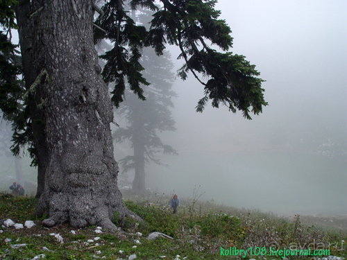 Абхазия-любовь моя. Мамдзышха.